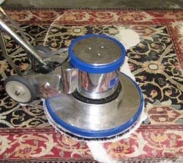 مراقبت از ریشه فرش