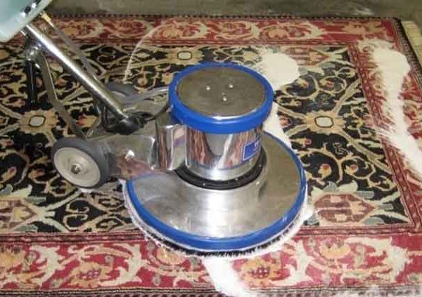 مراقبت از ریشه فرش