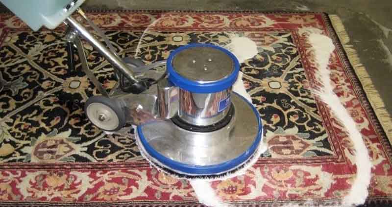 مراقبت از ریشه فرش