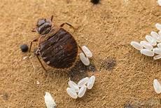 اصول انبار داری و جلوگیری از بید خوردگی