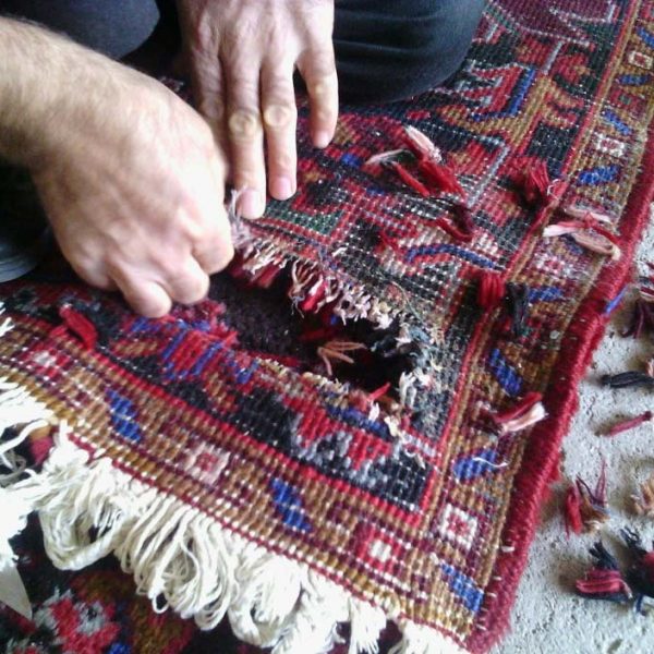 پاک کردن لکه چای از روی فرش به چه روش‌هایی صورت می‌گیرد؟ - قالیشویی ابریشم