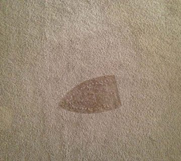 رفع سوختگی فرش ماشینی-قالیشویی ابریشم